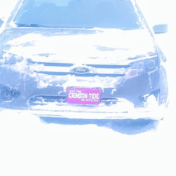 Meet your Posher, Candice - Picture 3 of 10